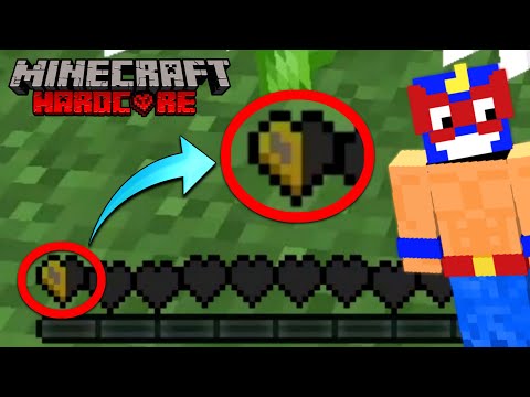 ეს უკვე დასასრულია! | პრო და ნუბი Minecraft Hardcore -ში! #1